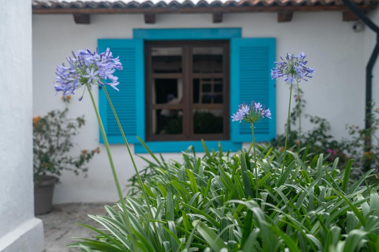 Barbara'S Boutique Hostel Antigua Екстериор снимка